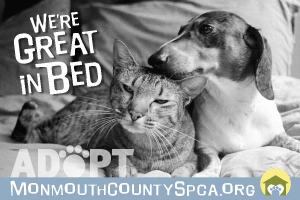 Postcards_9x6_Page_3