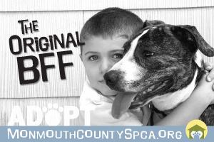 Postcards_9x6_Page_6