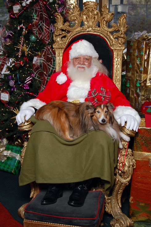 HARBORPLACE_20121126_000017 2