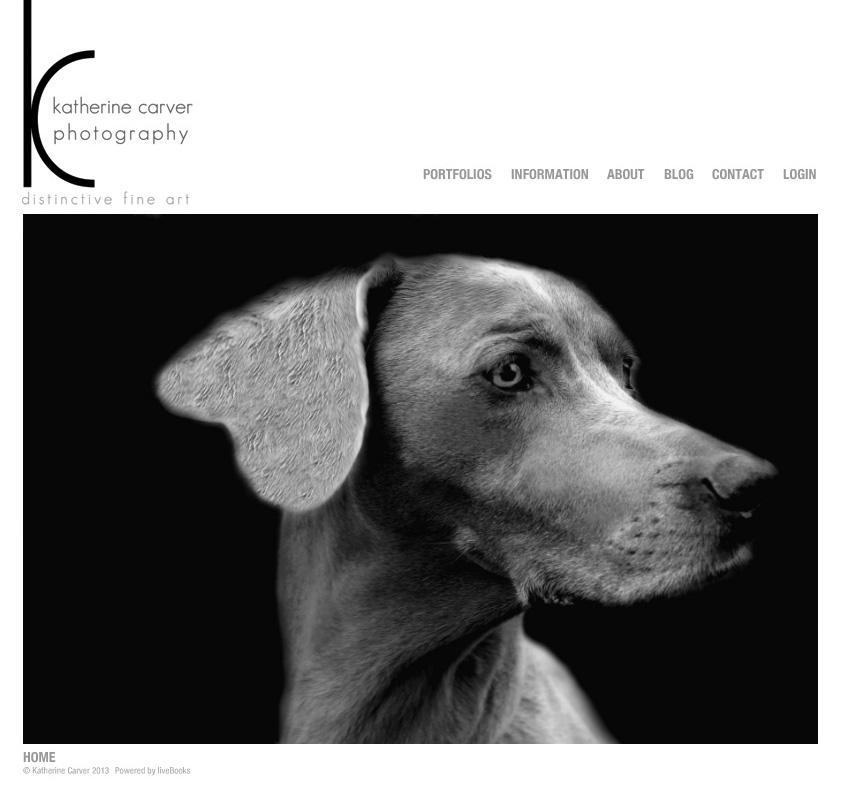Katherine Carver Photography Website Homepage