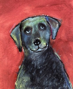Curious-Dog-DD161-248x300