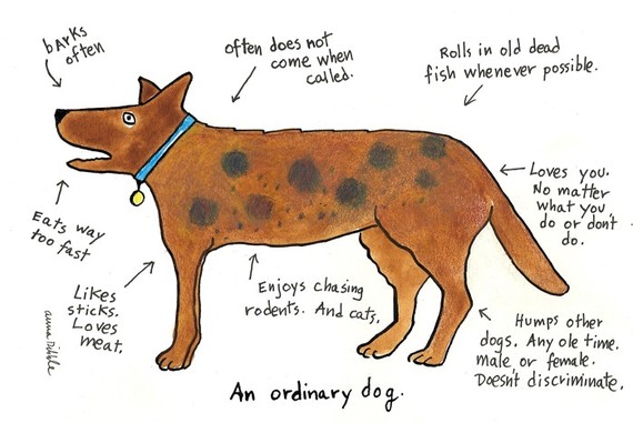ordinarydog_0