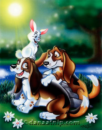 2 Bassets ©danaatnip.com