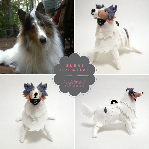 collie dog 4