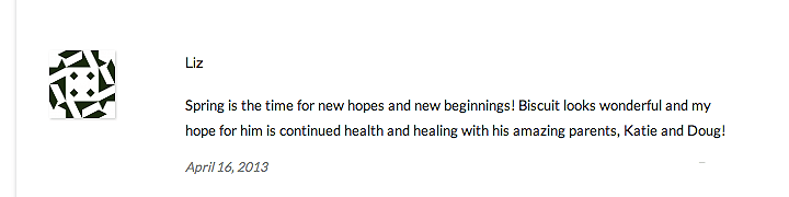 Screen shot 2013-04-22 at 8.36.04 AM