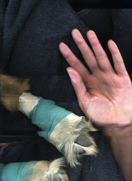 tesssurgery1019111045amsmall