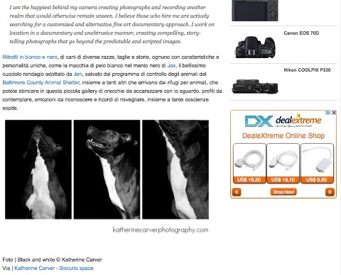 Click Blog Screen Shot 3