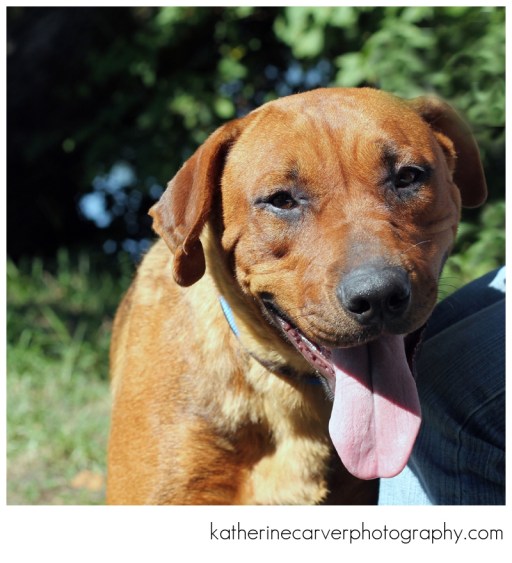 IMG_9482 2, Willow, 78781