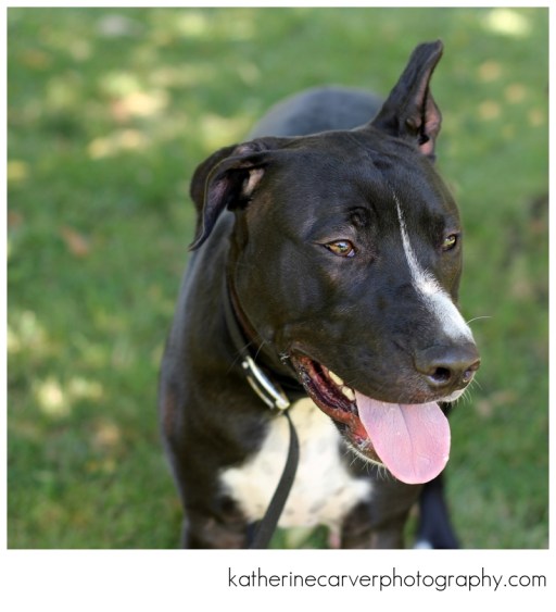 IMG_9603 2, Hurricane, A20608135