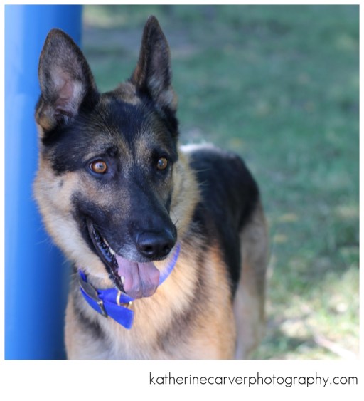 IMG_9919 2, Sabre (non number yet)