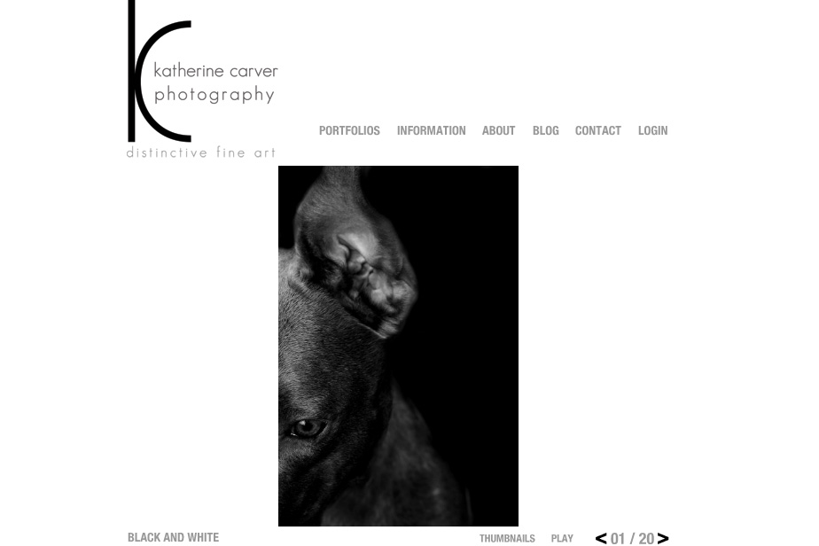 katherine carver photography