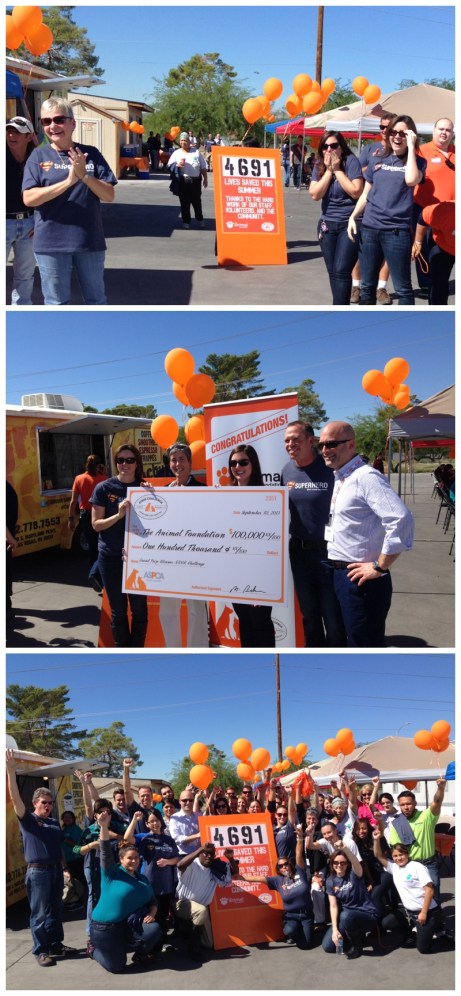 100k-winner-2013 (3)