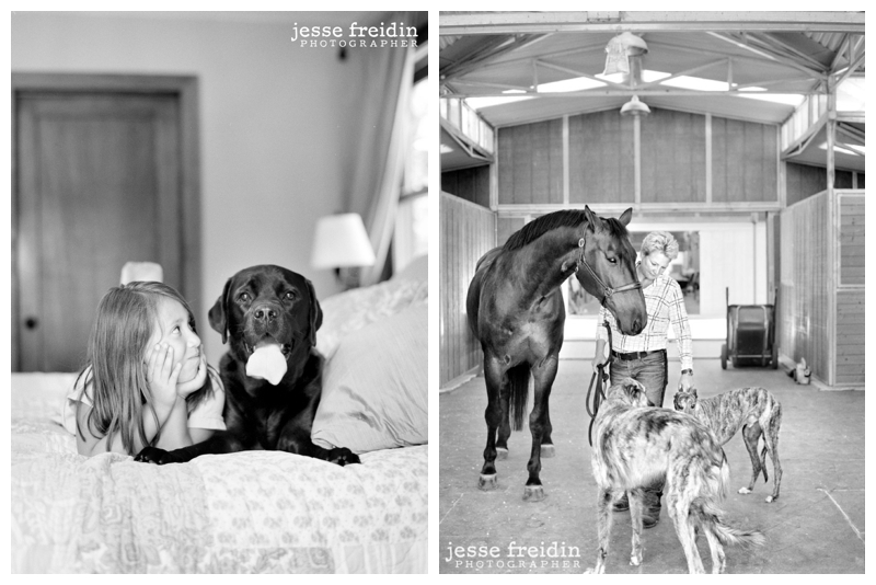 los_angeles_dog_photography