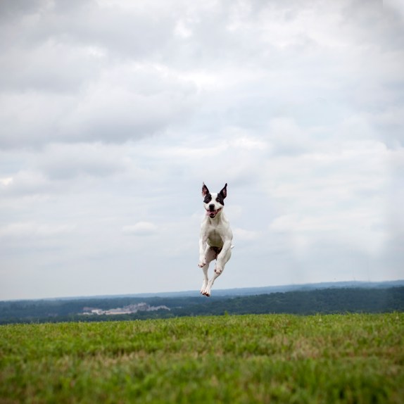 07_11_13_tickles_892562