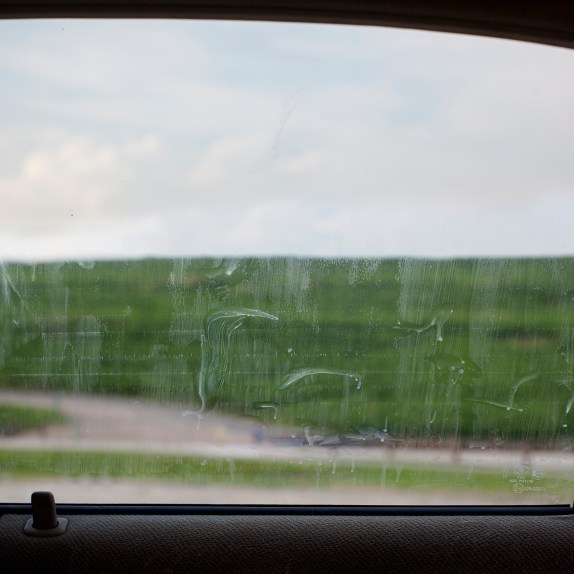 08_23_13_nose_prints_and_landfill