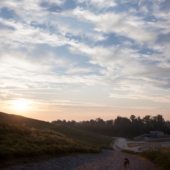 10_03_13_ellie_and_the_landscape_square