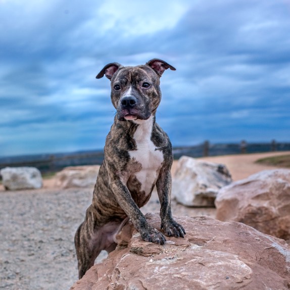 11_15_13_quinn_72750