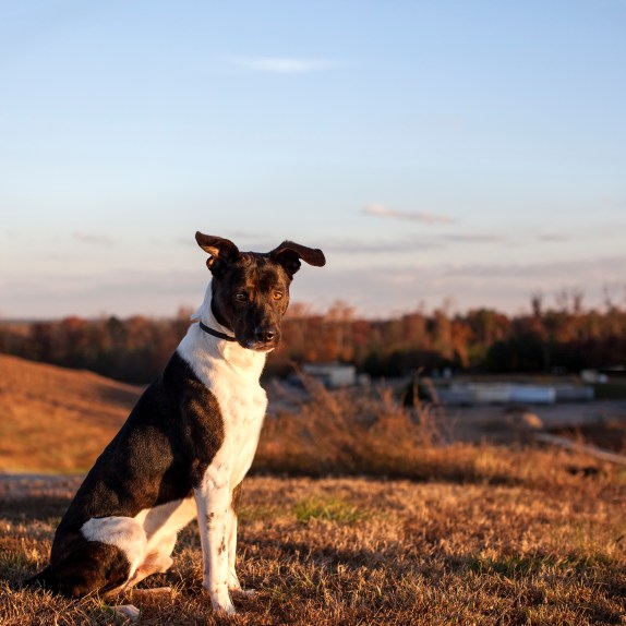 11_18_13_kieffer_91027