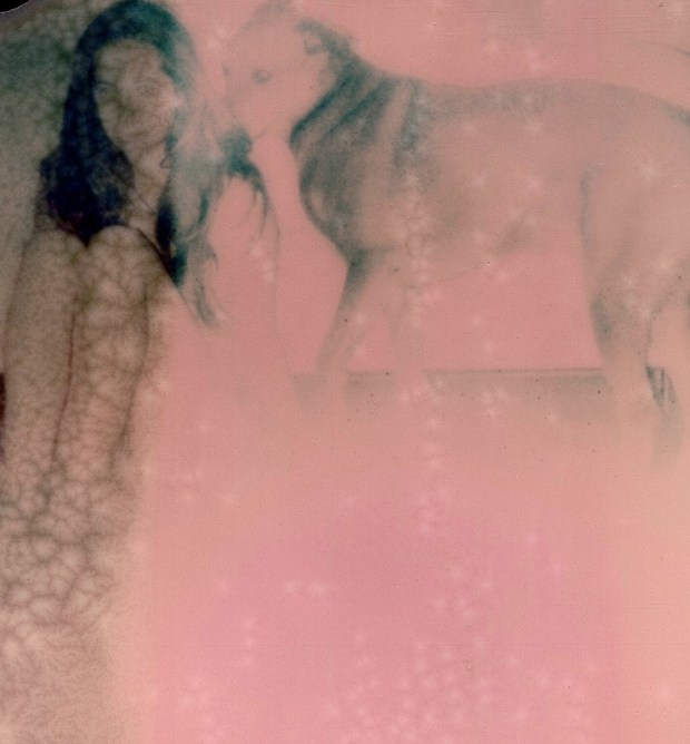 27315_153578598181946_1291957647_n