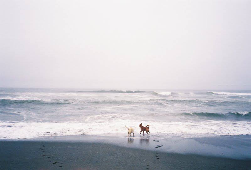 600519_145998972273242_434132430_n