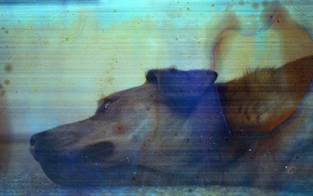 8701041520_210125340b_c