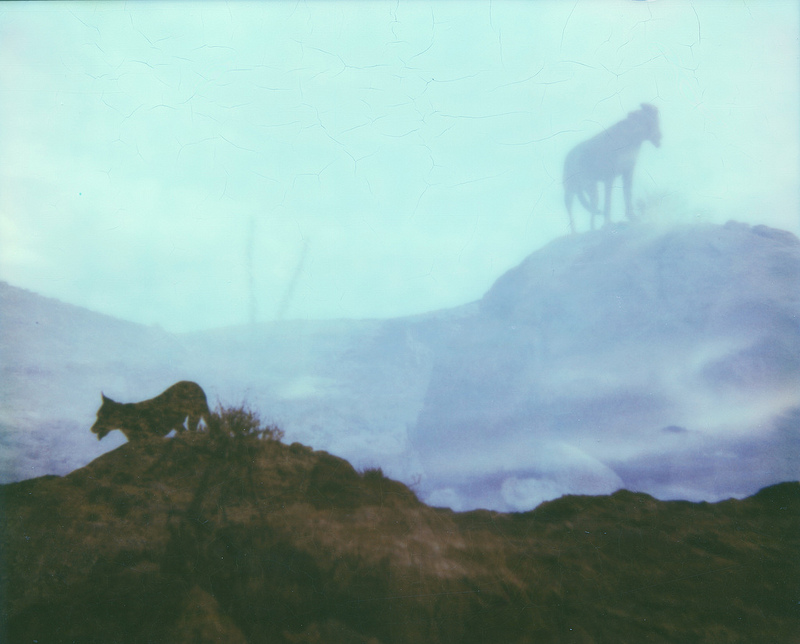 9572050744_4d3282bee0_c