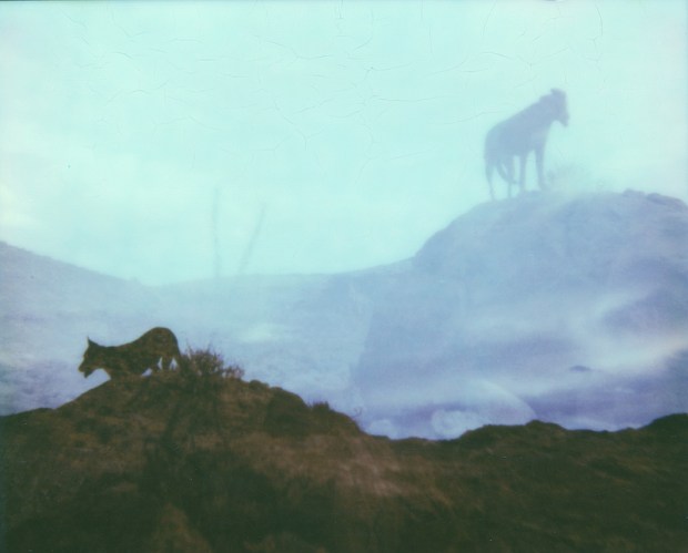 9572050744_4d3282bee0_c