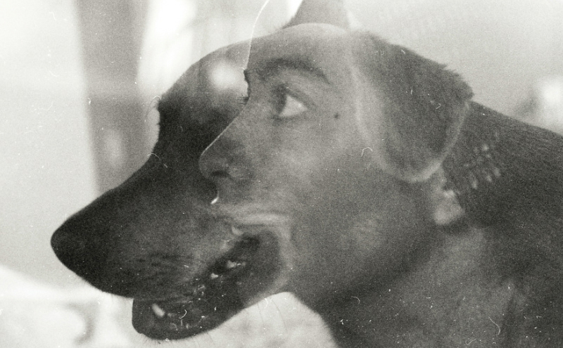 970774_144150622458077_1313495486_n