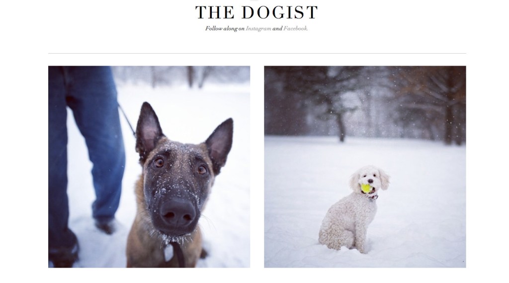 Dogist