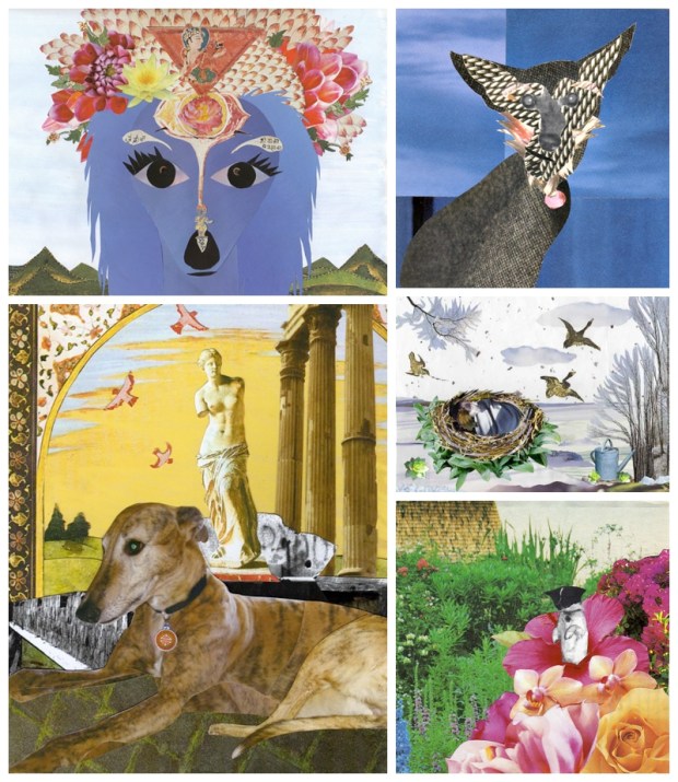 darby_july_calendar_post