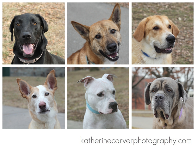 IMG_8491 2 Heads 2:18:14