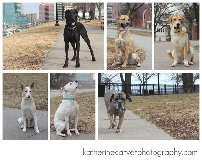 IMG_8550 2 Full Body 2:8:14