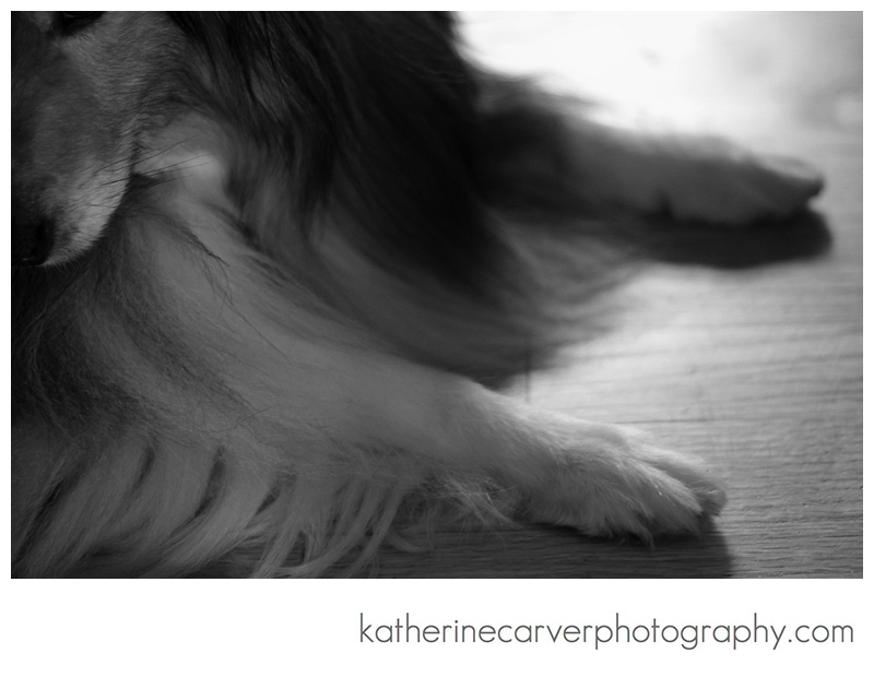 IMG_9662 b and w  2012