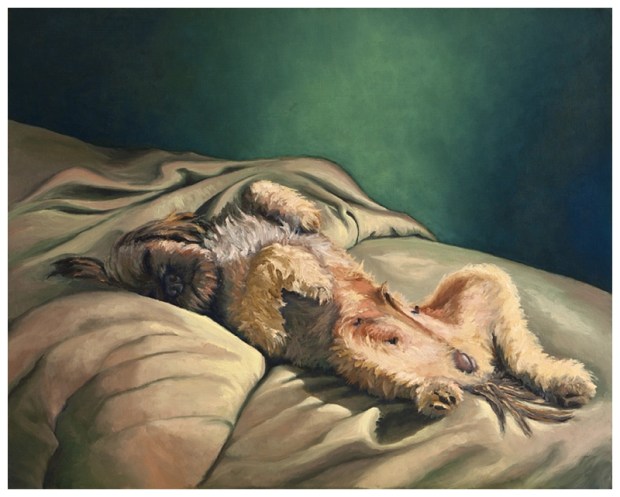 Apso Repose edit blurb_edited-1