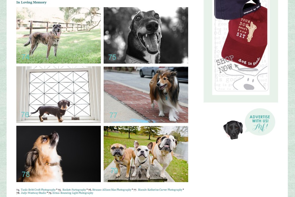 Daily Dog Tag 2 March 2014