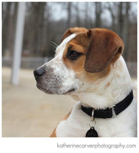 IMG_1764 2 PRINCESS PEACH