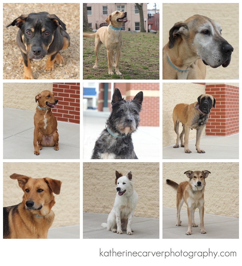 IMG_1905 3 Faces and Bodies, 3/16/14 2014