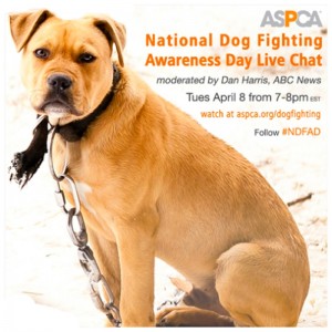 National Dog Fighting Awarenss Day ASPCA
