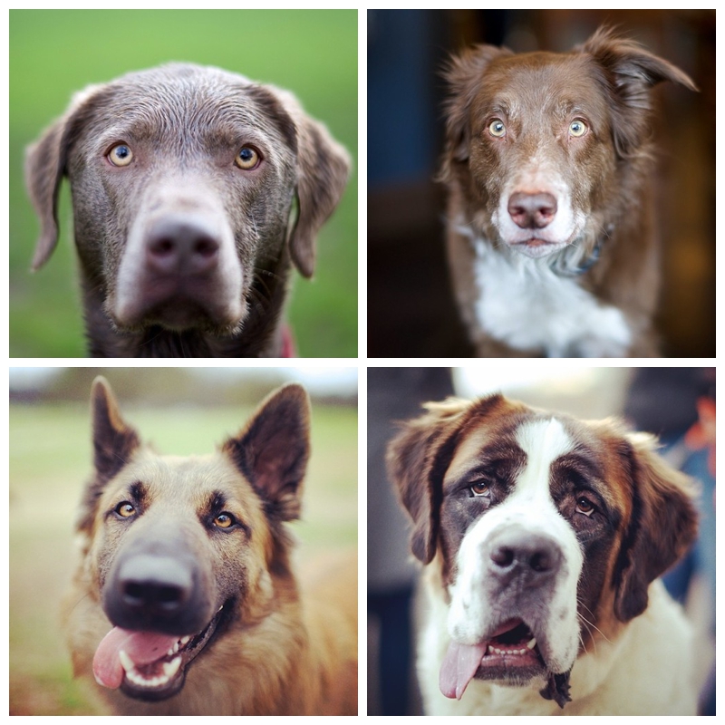 tumblr_n2a8xlwxhT1slm9b6o1_500