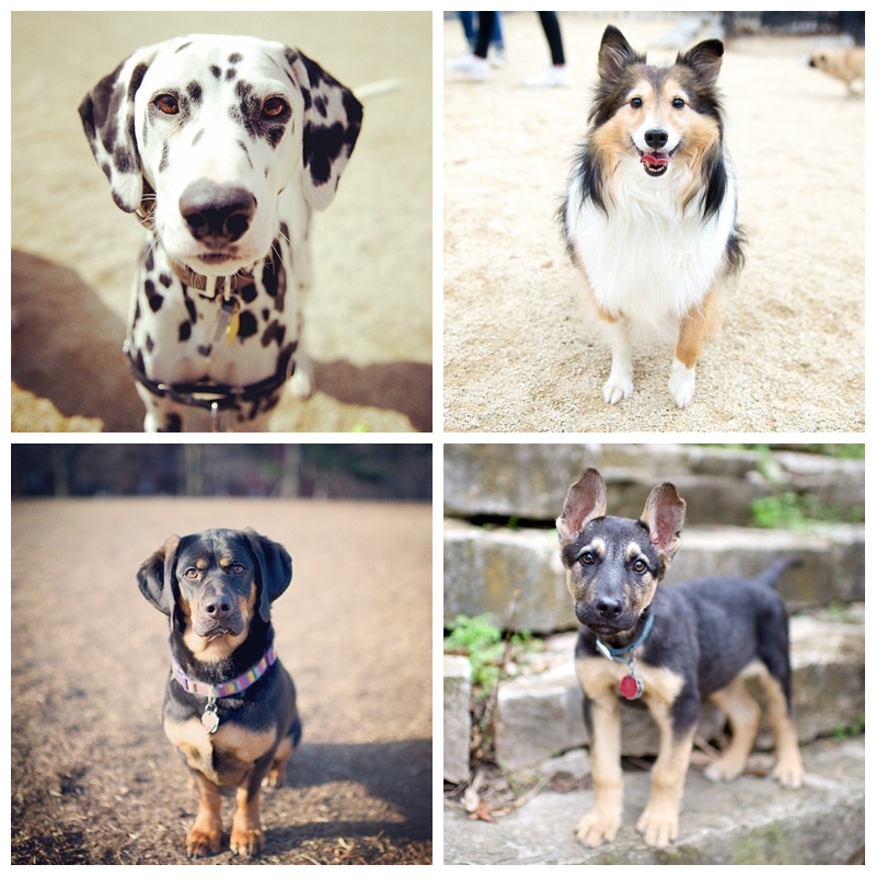 tumblr_n37i2dpxxa1slm9b6o1_500