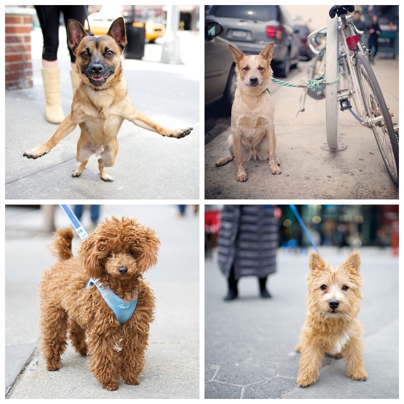 tumblr_n38610dKTA1slm9b6o1_500