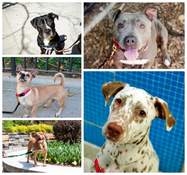 Samuel-A22098964_2014Mar11_01