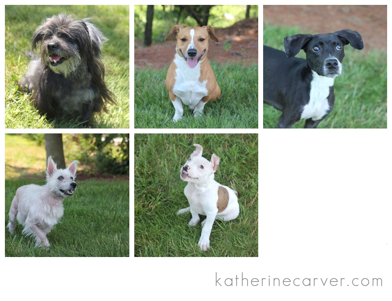 IMG_3401 2 Faces FARM