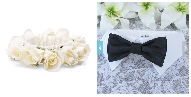 wedding collar