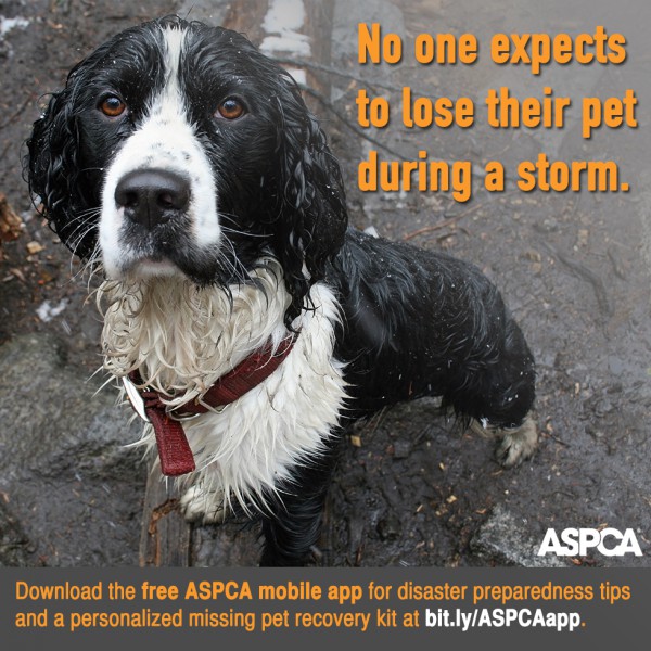 ASPCA DPM-Shareable-v2