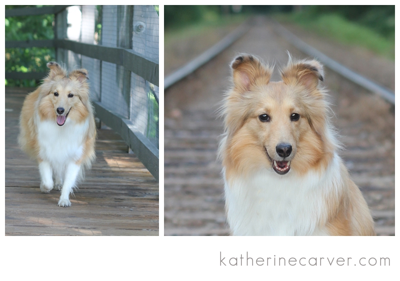 IMG_1960 for reference and context