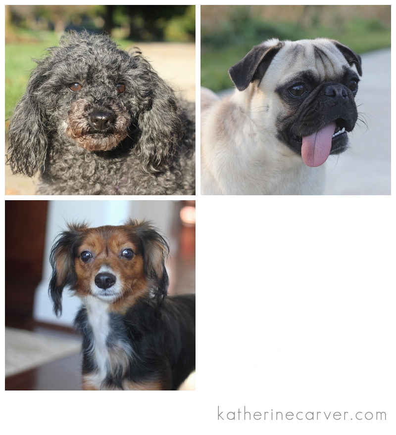 IMG_8696 2 DELILAH 1