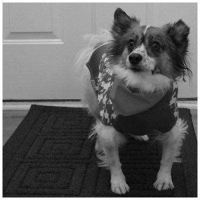 photo-3 Nick birthday 2014