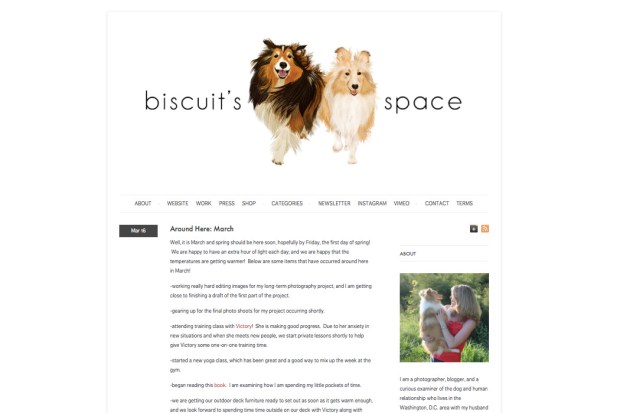 biscuitsspace 1