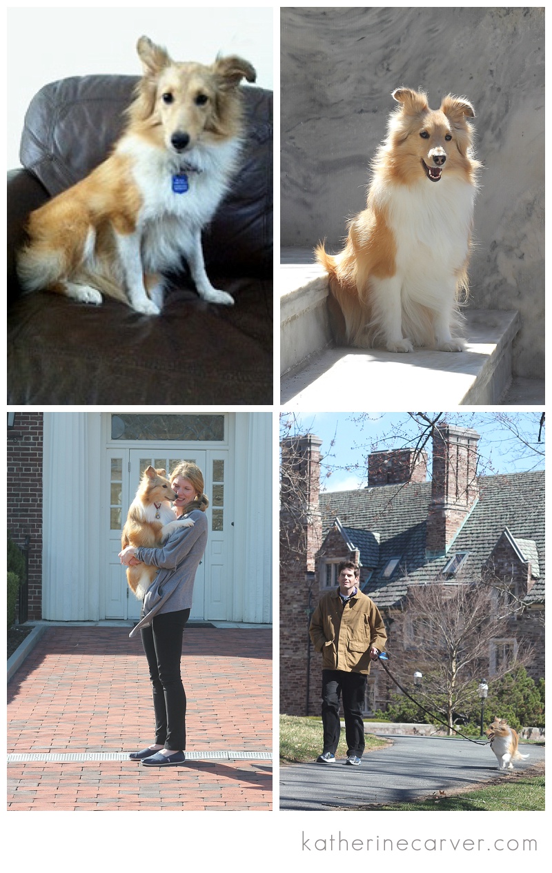 photo victory 2-1 copy